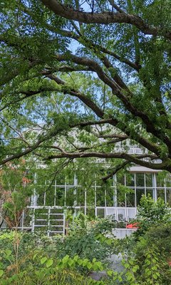 🌸 고오 코마키노 정원(다카오 코마기노 테이엔) 이미지 2